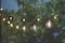16ct. Shatterproof Black Globe Bulb LED String Lights by Ashland®